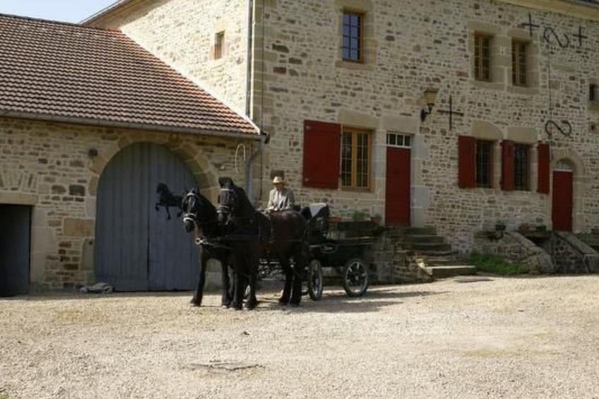 in Le Châtelet-Sur-Meuse mit Grill, Garten und Terrasse - foto 14