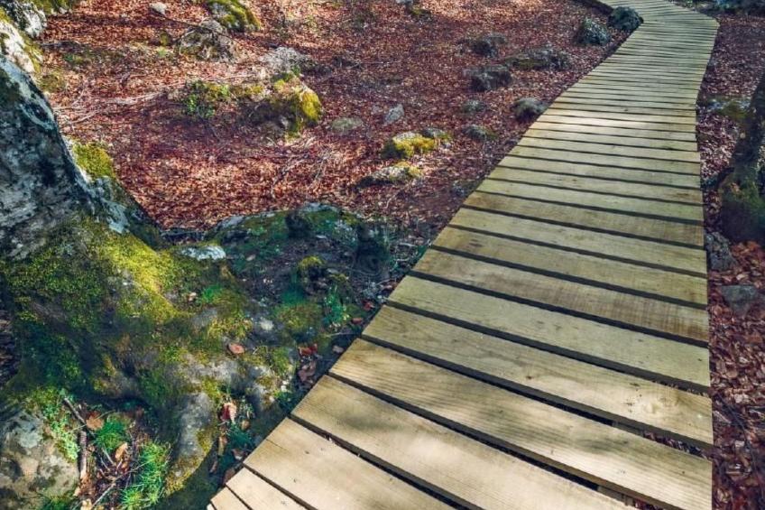 Rural House in the mountain of León - foto 38