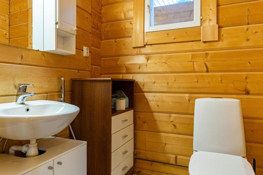 Näsinjoutsen - foto 17