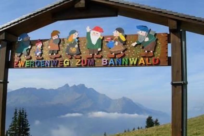 Schaad 4-Bett-Wohnung - foto 8