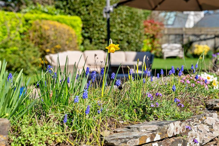 Sunny Nook - foto 30