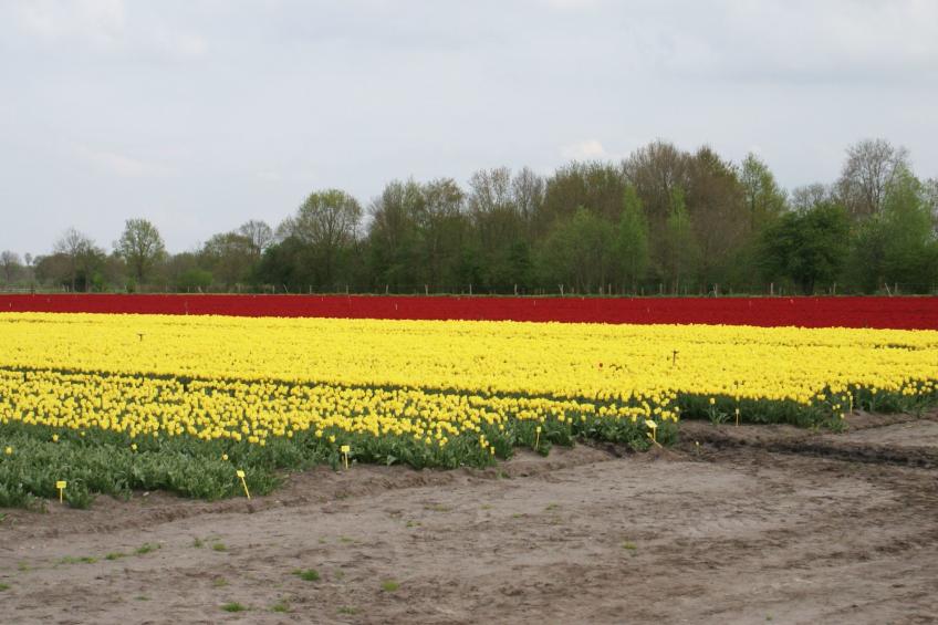 Geschmackvoll eingerichtetes Bauernhaus aus dem 19. - foto 44