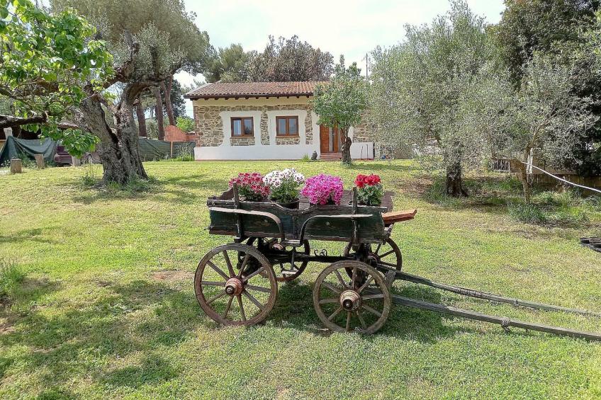 "Giotto" mit Terrasse - foto 7