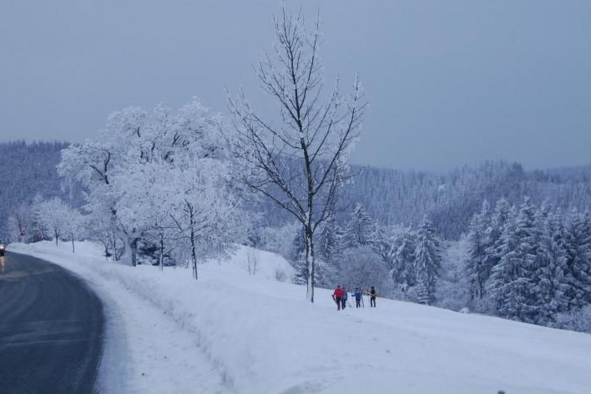 Thüringer Landhaus - foto 20