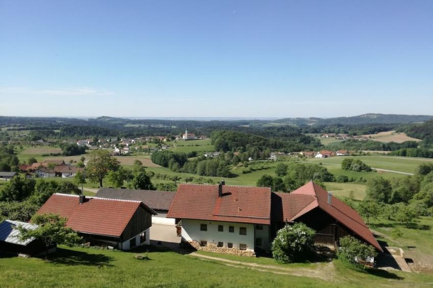 13447 - foto 6