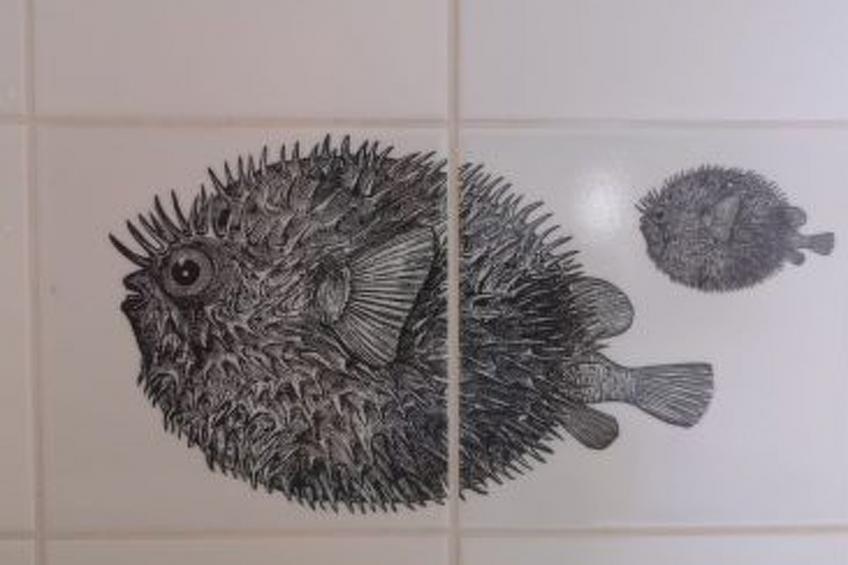 Kleines Gretchen - foto 14