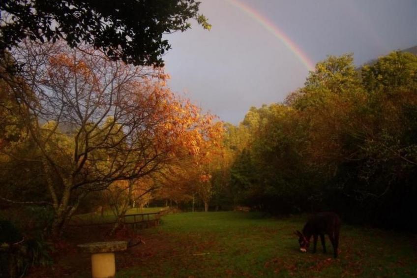 NATUR IN IHRER REINSTEN FORM - foto 25