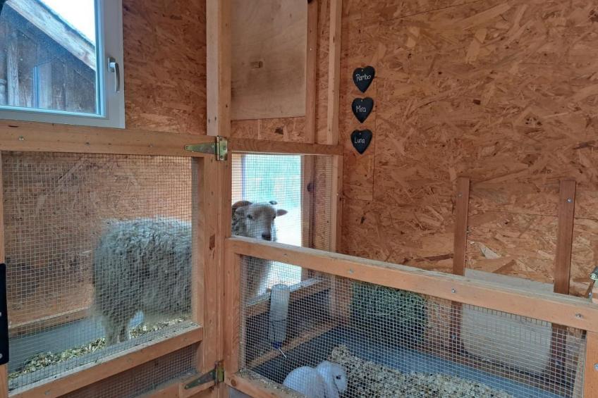 Ferien im Gugger - Wohnung Churfirsten - foto 20