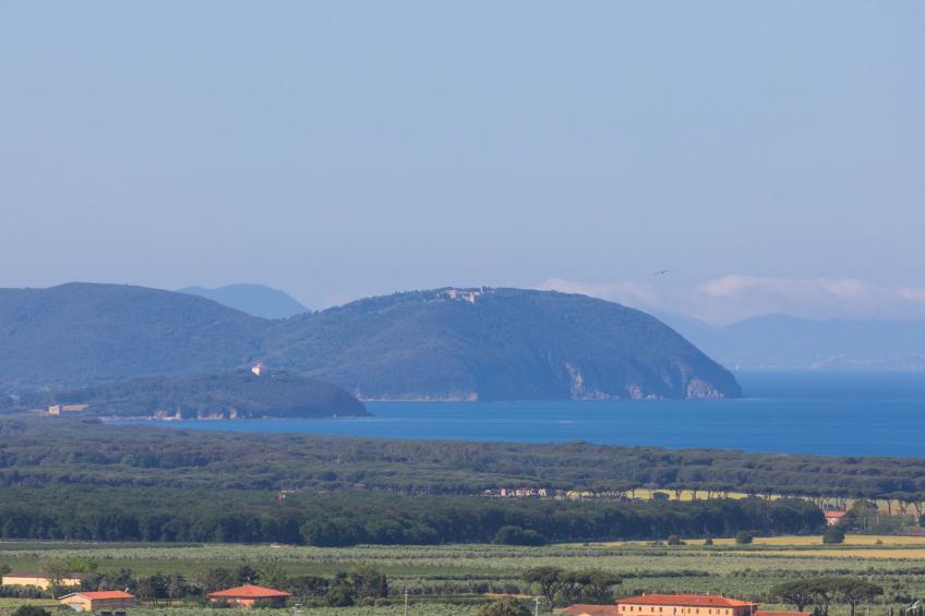 Agriturismo Il Corbezzolo (SVC150) - foto 40