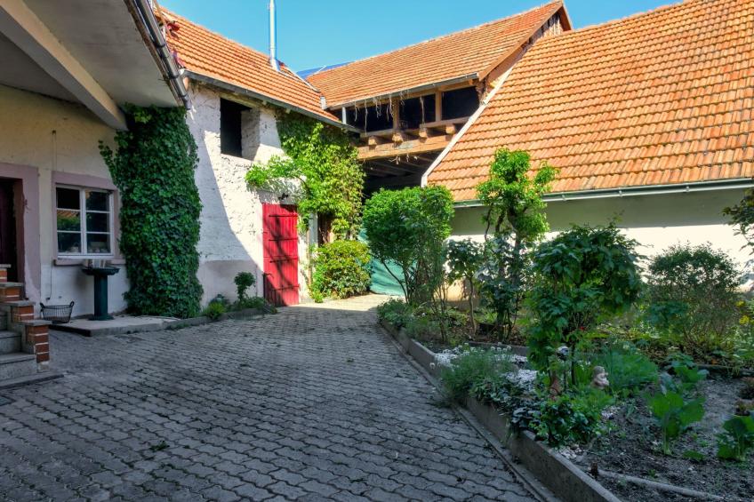 Fewo Römerweg - foto 18