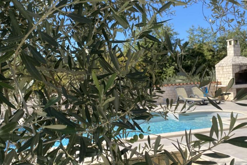 Villa Mali Raj - foto 11