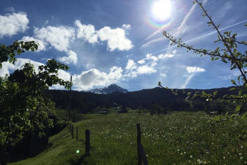 Chalet am Bühl - foto 29