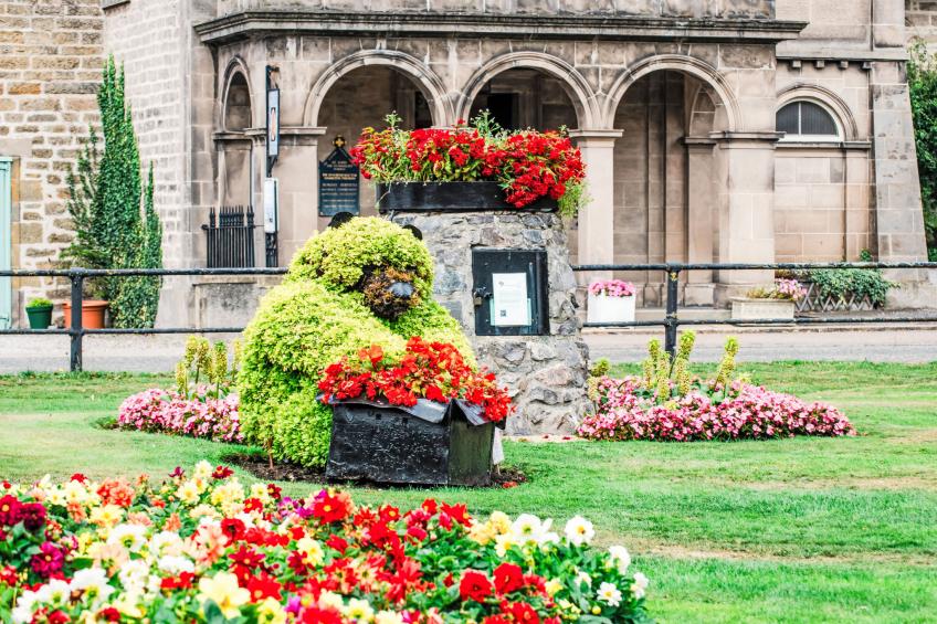 Varis Haven - foto 42