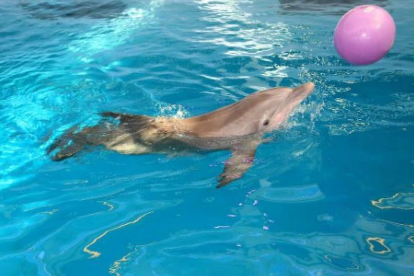 Neu renoviert in geschlossener Wohnanlage, erschwinglich - nur wenige Minuten v - foto 34