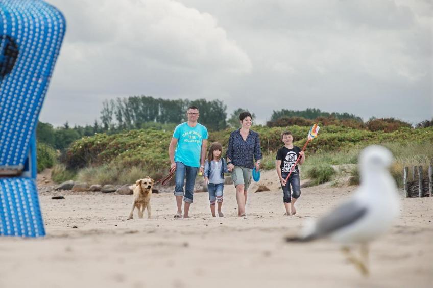 Ferienresort ostsee resort damp, Damp - Typ B - foto 42