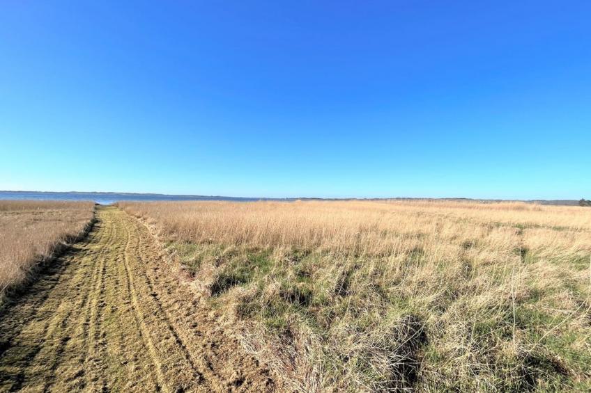 "Vemund" - 100m to the inlet in Sealand - foto 2