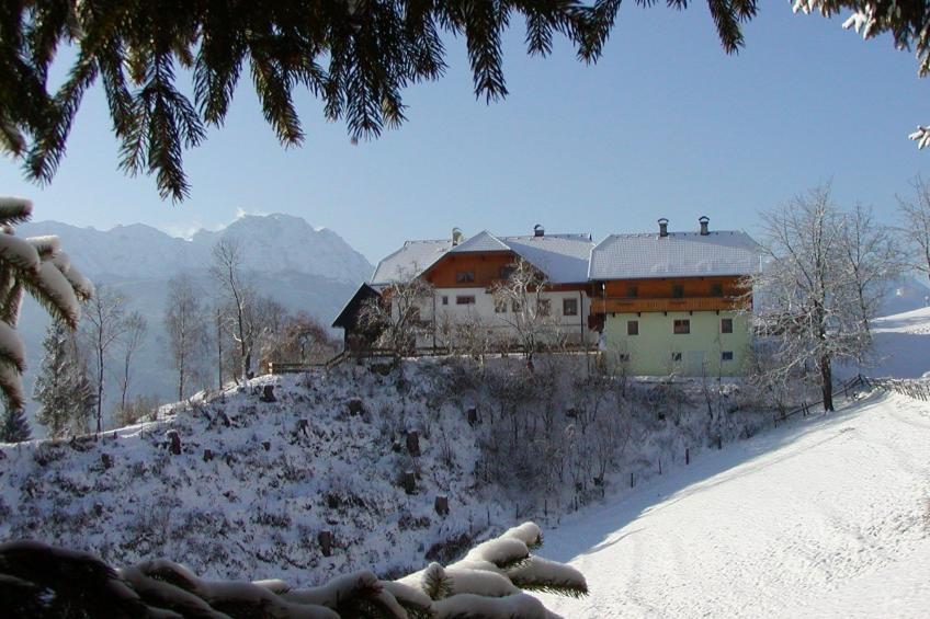 Waldblick in Steinfeld - foto 4
