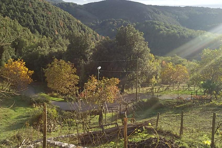 Kleines feines helles Appartment im Gruenen mit Meerblick - foto 20