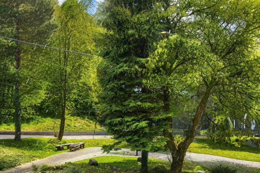 Budget Double Room - foto 30