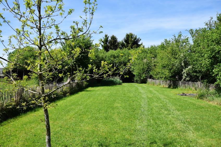 La Petite Merveille - foto 37