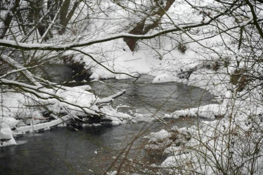 Feriendorf Natur pur - foto 36