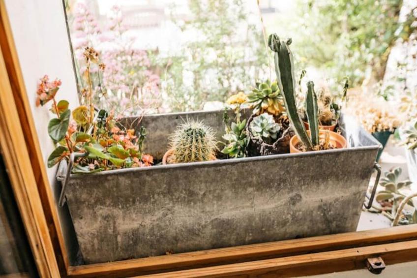 Perle Rare Avec Vues Panoramiques - foto 65