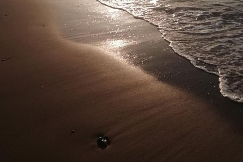 Big Blue Exklusive Villa am Meer - foto 48