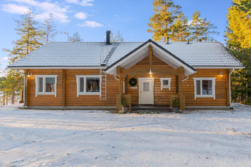 Näsinjoutsen