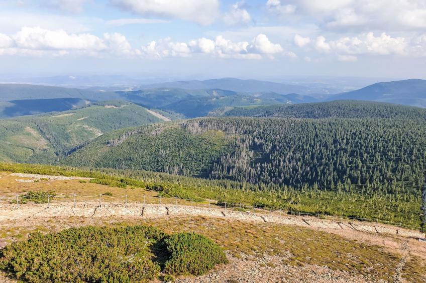 Rezidence Krakonoš 105 - foto 27