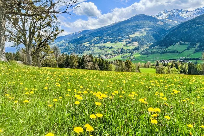 Ferienwohnung Christoph - foto 22