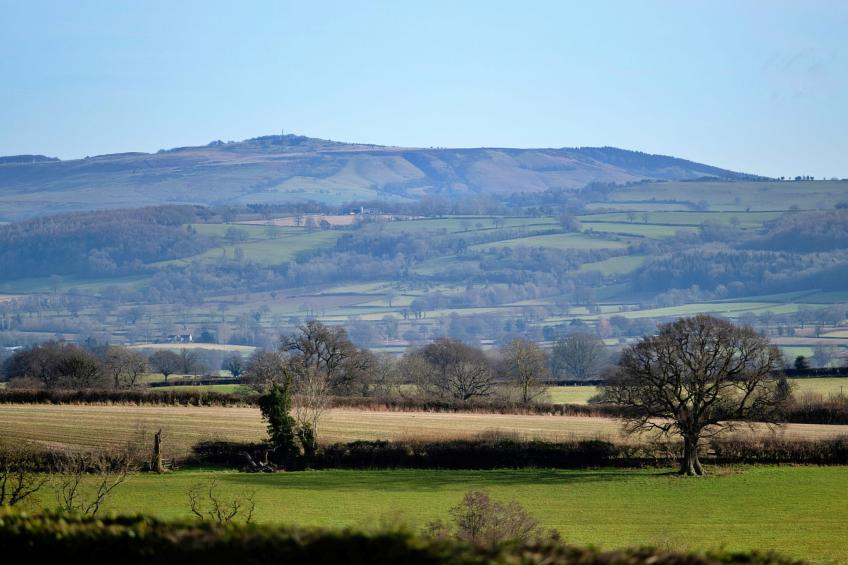 Walton Maisonette - foto 23