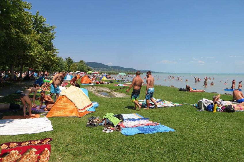 auf großem Gartengrundstück - foto 35