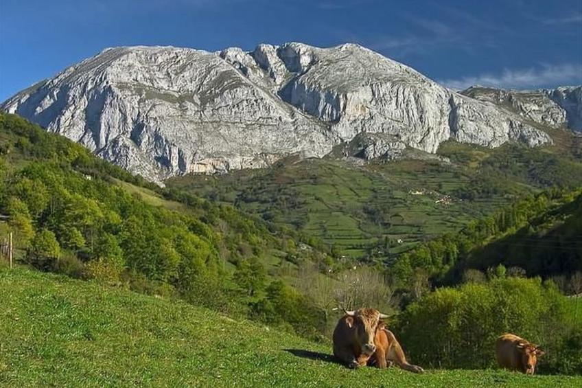 Ländliches Haus La Carrozal Senda del Oso - foto 47