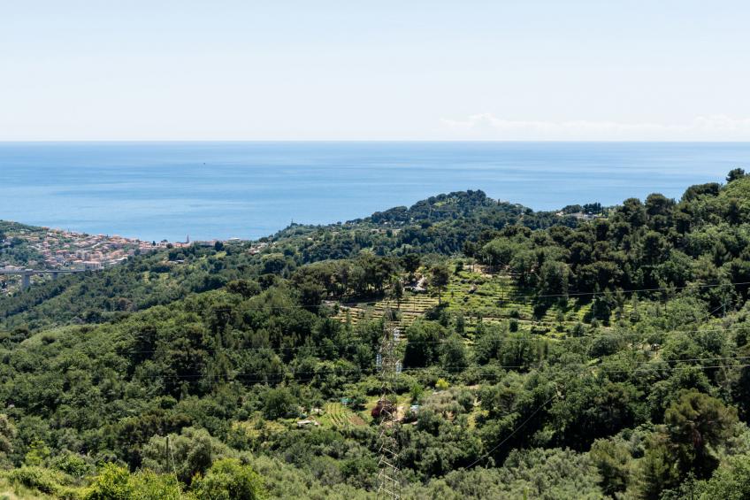 Terrazza Bella Vista - foto 24