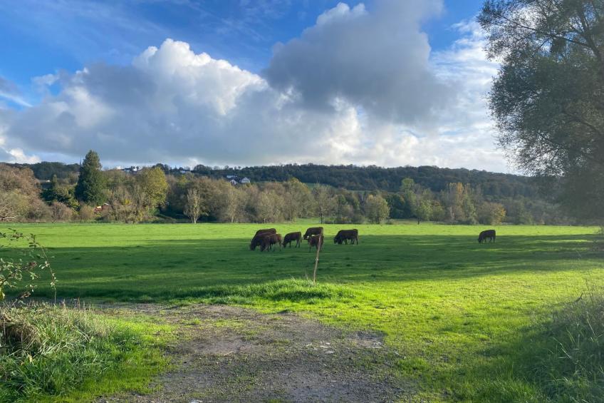Appartement mit Balkon - foto 31