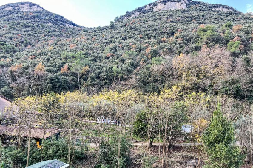 Grotta dell´Edera - foto 27