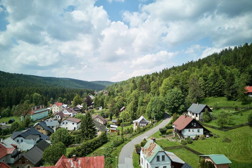 Forest line - foto 31