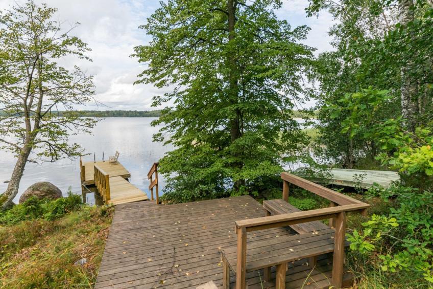 Metsä-iivari - foto 4