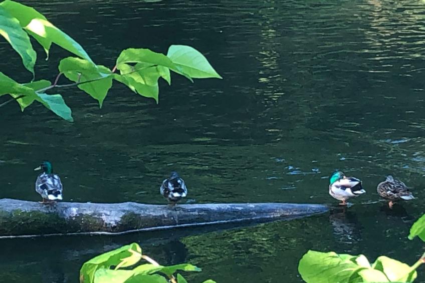 Urbane Remise - foto 28