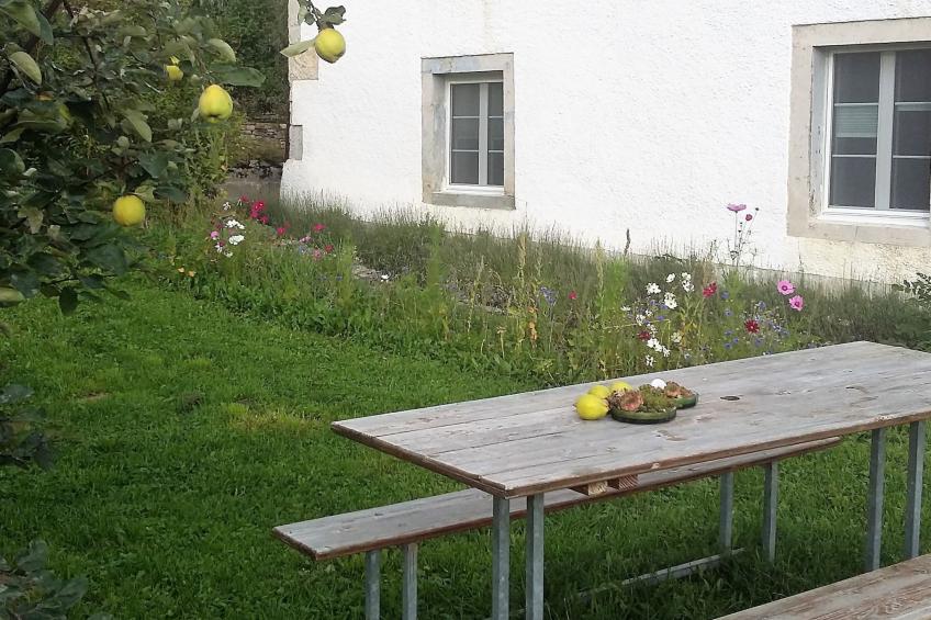 Appartement - Chez Thérèse, (Le Noirmont), - foto 16