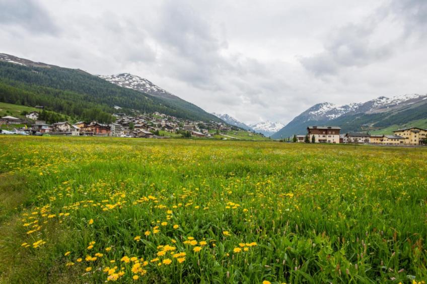 Hotiday Bormio Apartments Bilocale Notref - foto 19