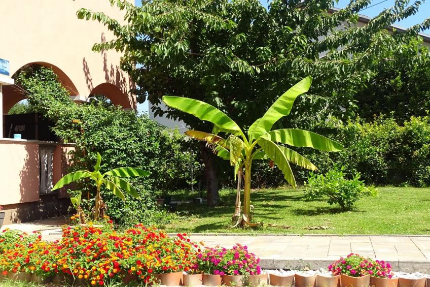 One Bedroom Apartment Luna 3 - foto 19