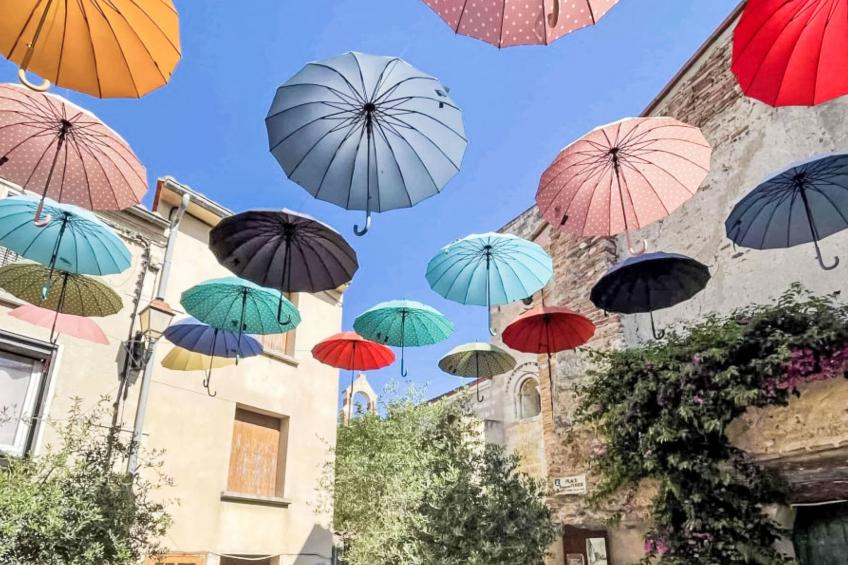 Les Moineaux - foto 29