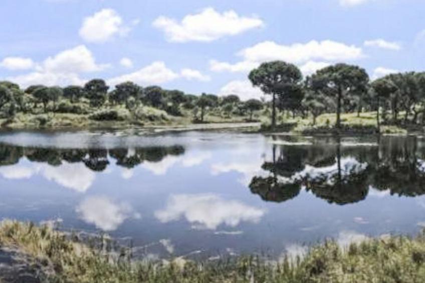 Herdade de Montalvo - foto 21