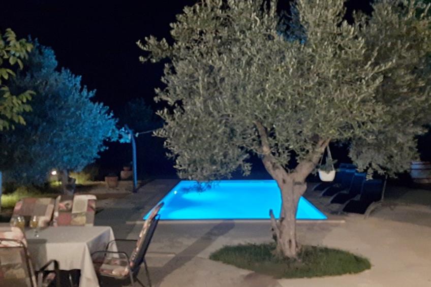 AQUA mit Pool - foto 42