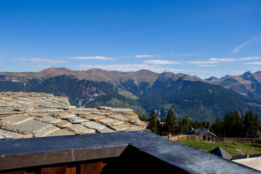Les Chalets du Forum 3/4p 10p - foto 24