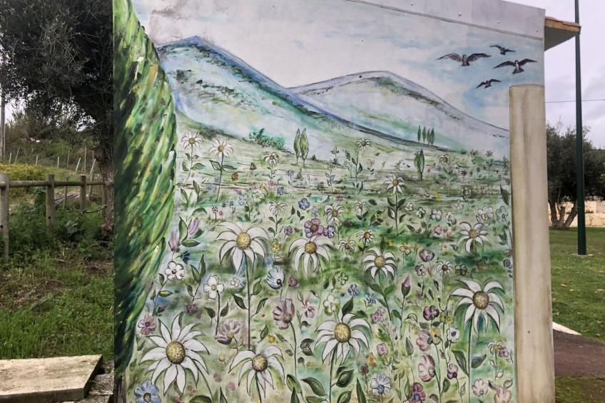 Haus in Praia Pedras Del Rey mit 3 Pools 4 - foto 15