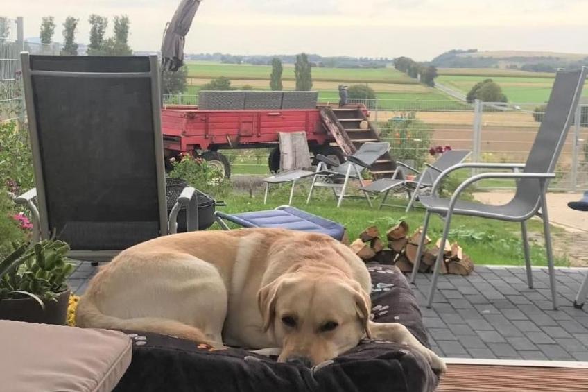 Wellness-Chalet - foto 26