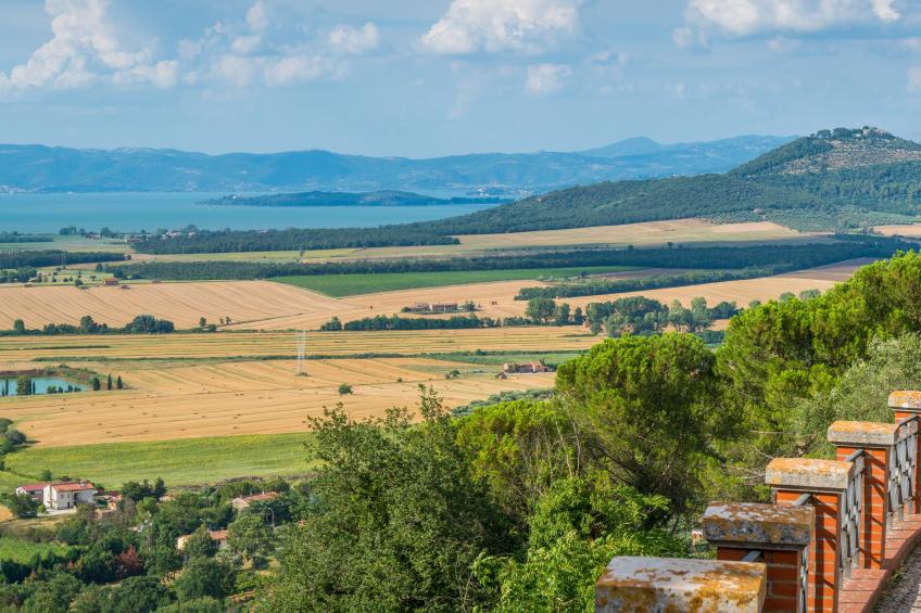 One Bedroom Apt With Pool And Garden - foto 24