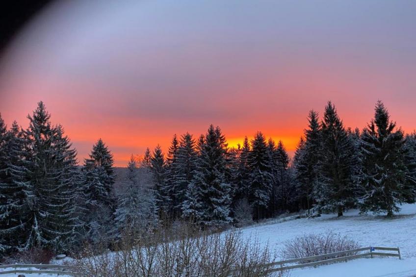 Thüringer Wald - foto 22